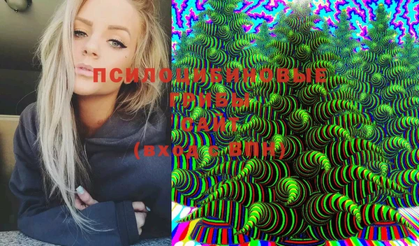 стафф Новокубанск