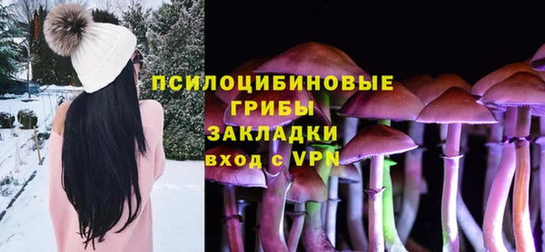 МДПВ Новодвинск